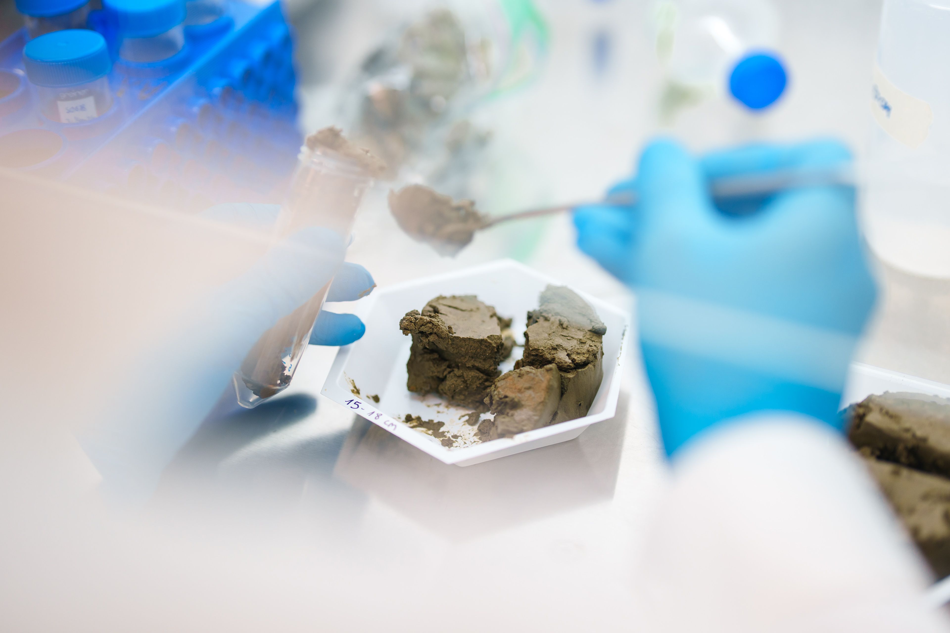 Sediment dried in the drying oven being sampled by a scientist.
