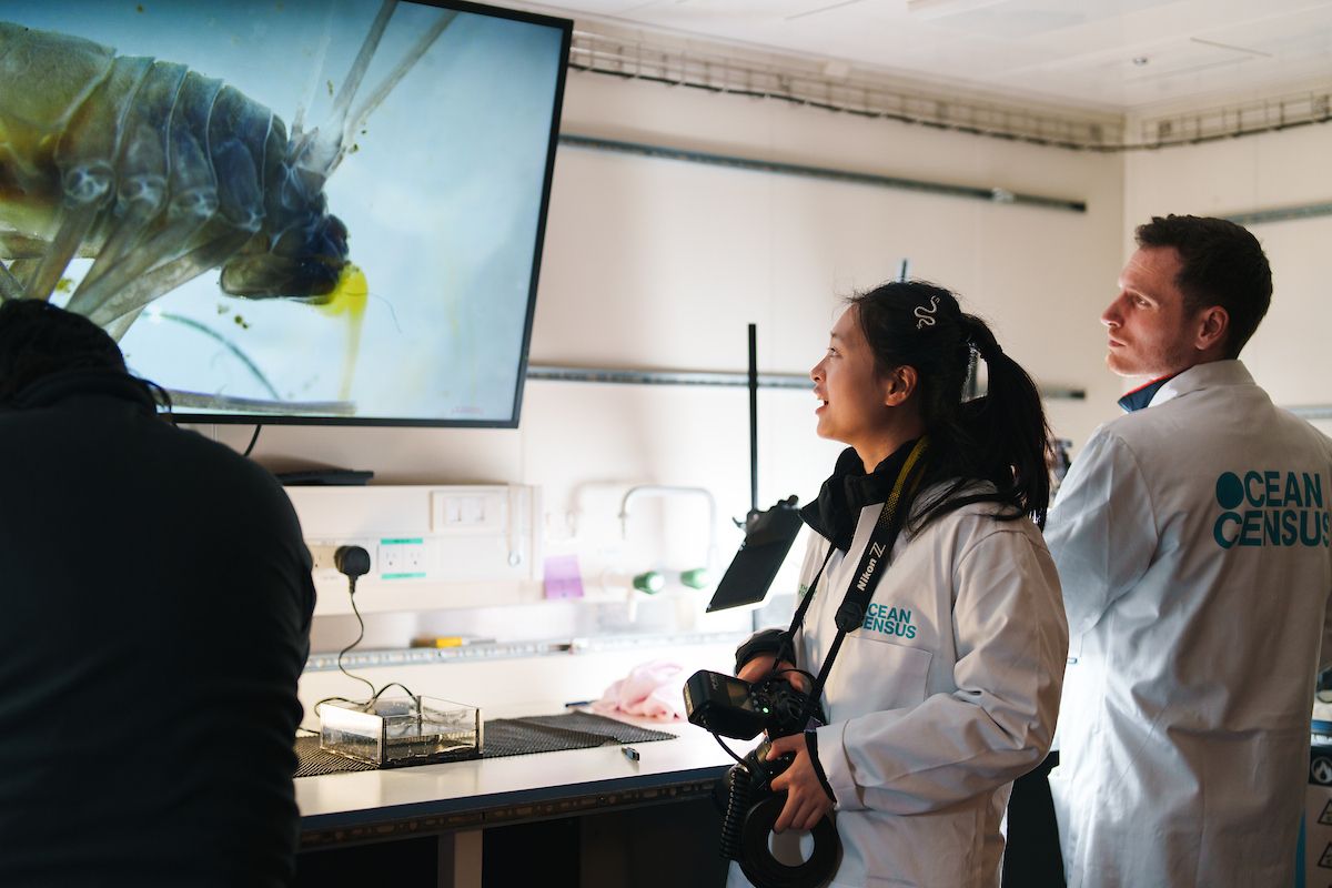 Two Ocean Census researchers in lab coats looking at a large monitor displaying a close-up image of a marine organism in a shipboard laboratory.