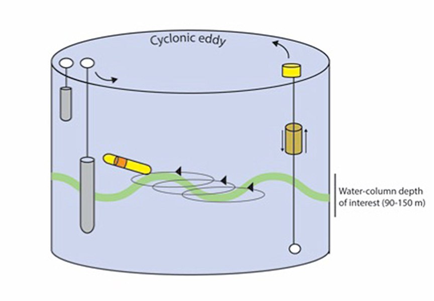 Schematic of the high-resolution sampling of the deep chlorophyll maximum.