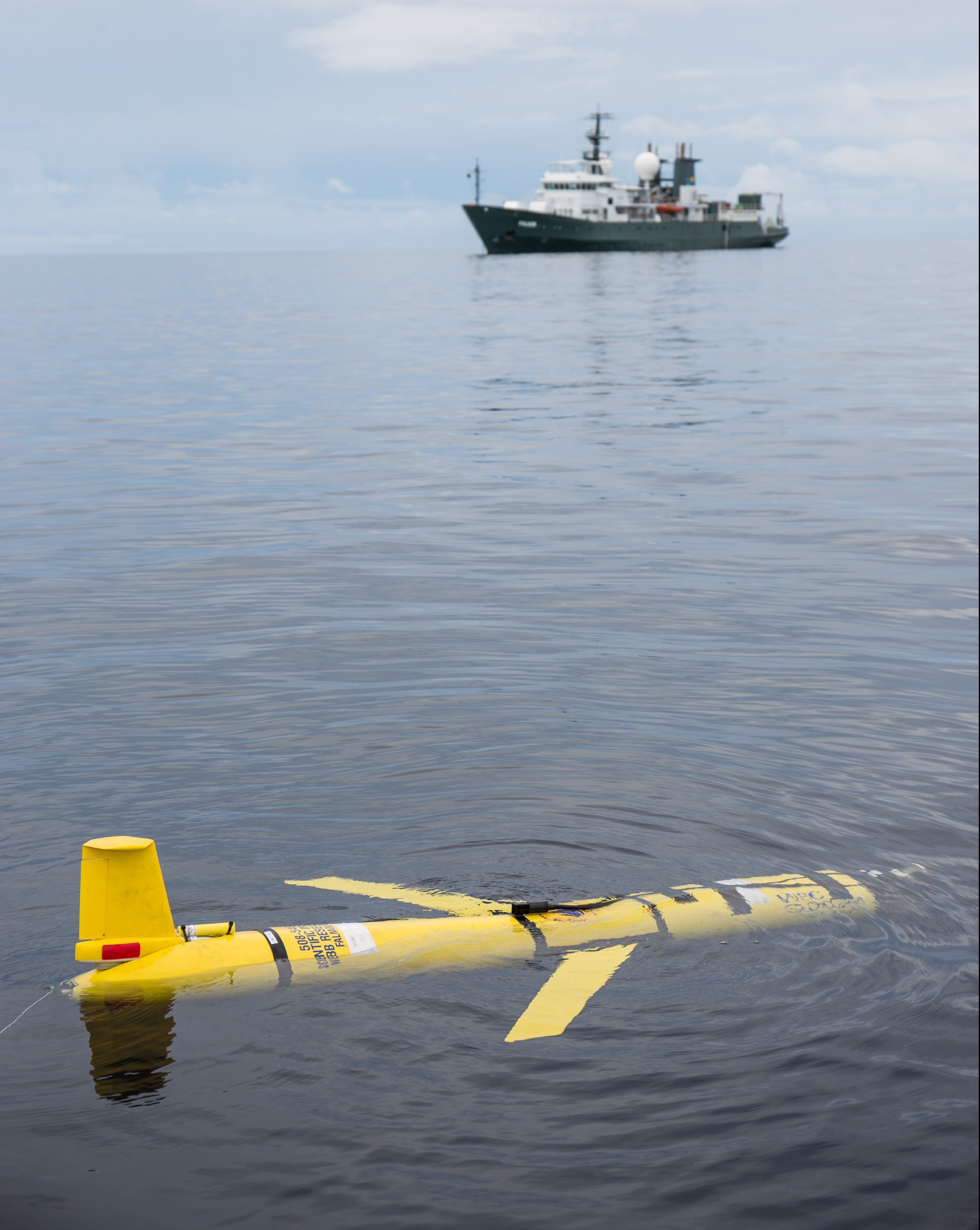 A Slocum Glider is launched from the work boat, away from R/V Falkor, during the 2015 Coordinated Robotics cruise. 