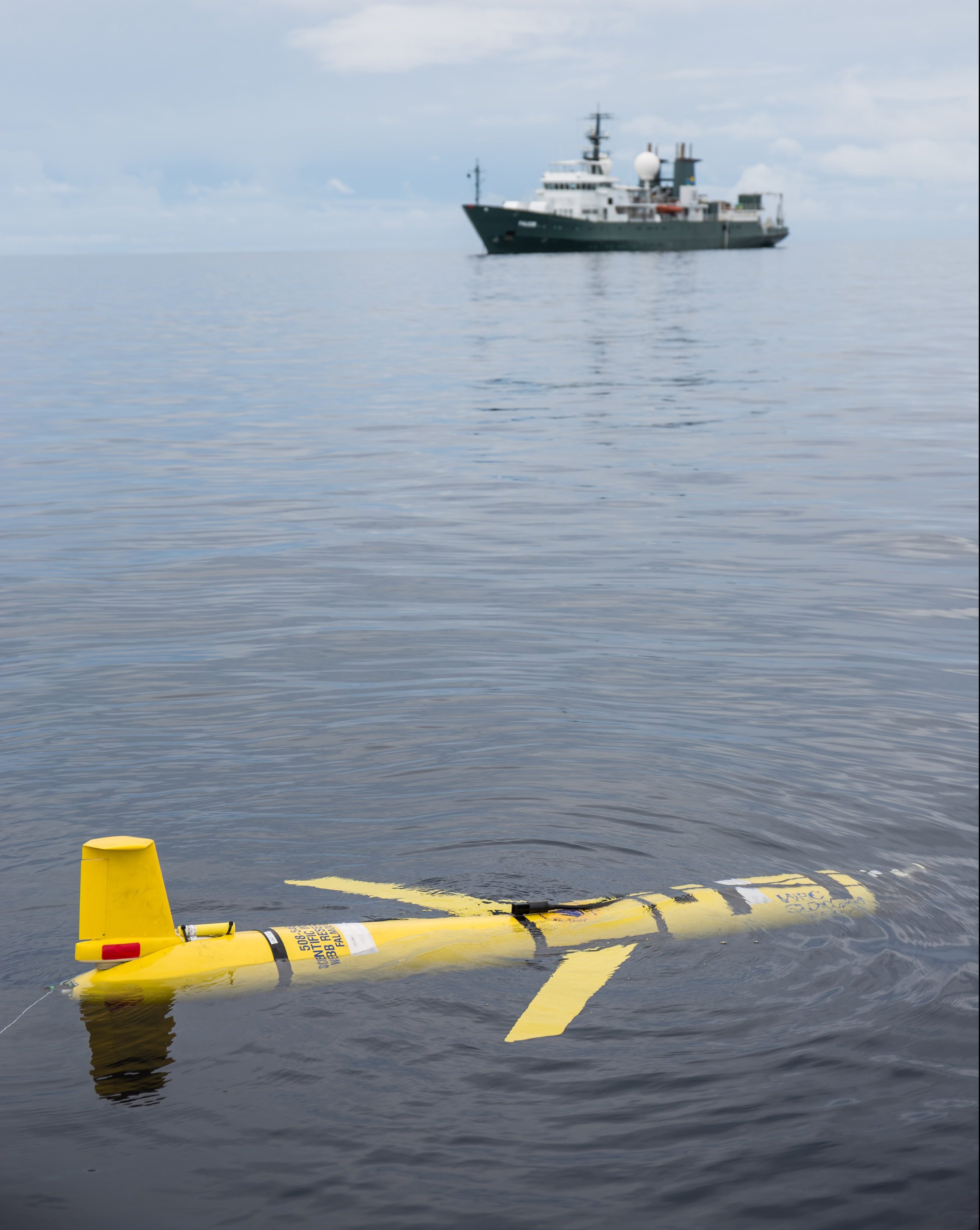 A Slocum Glider is launched from the work boat, away from R/V Falkor, during the 2015 Coordinated Robotics cruise.