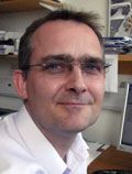 David Schellenberg