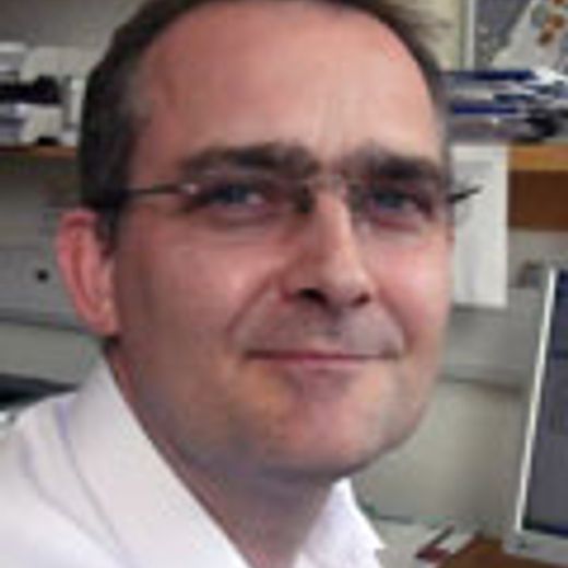 Bed-Nets To Prevent Malaria: Latest Research Evidence