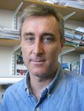 David Conway