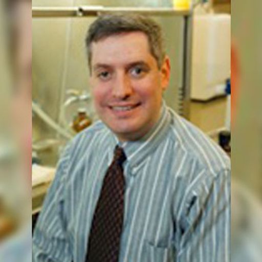 BRCA-deficient cancers respond to combination of two experimental drugs