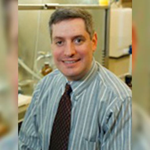 BRCA-deficient cancers respond to combination of two experimental drugs