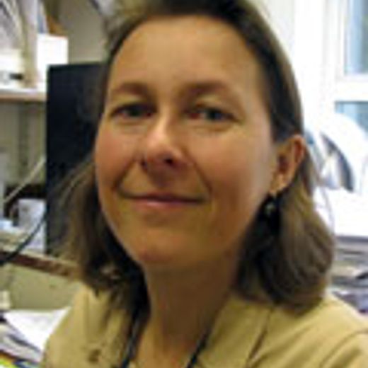 H1N1 Influenza Pandemic: How Good Are Existing Preparations?