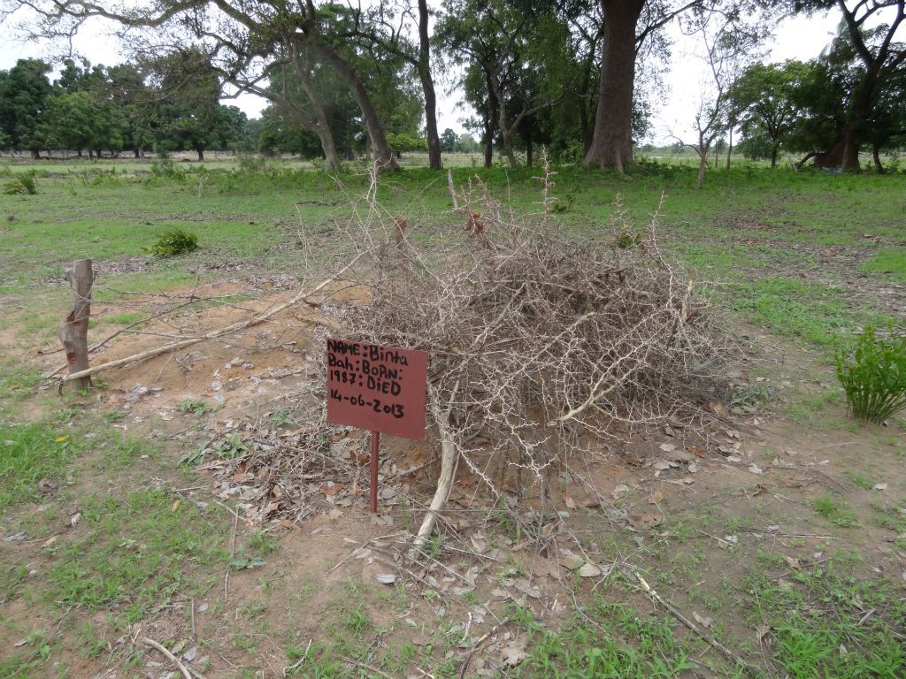 Zomer 2013 deel 2 - Foto 49