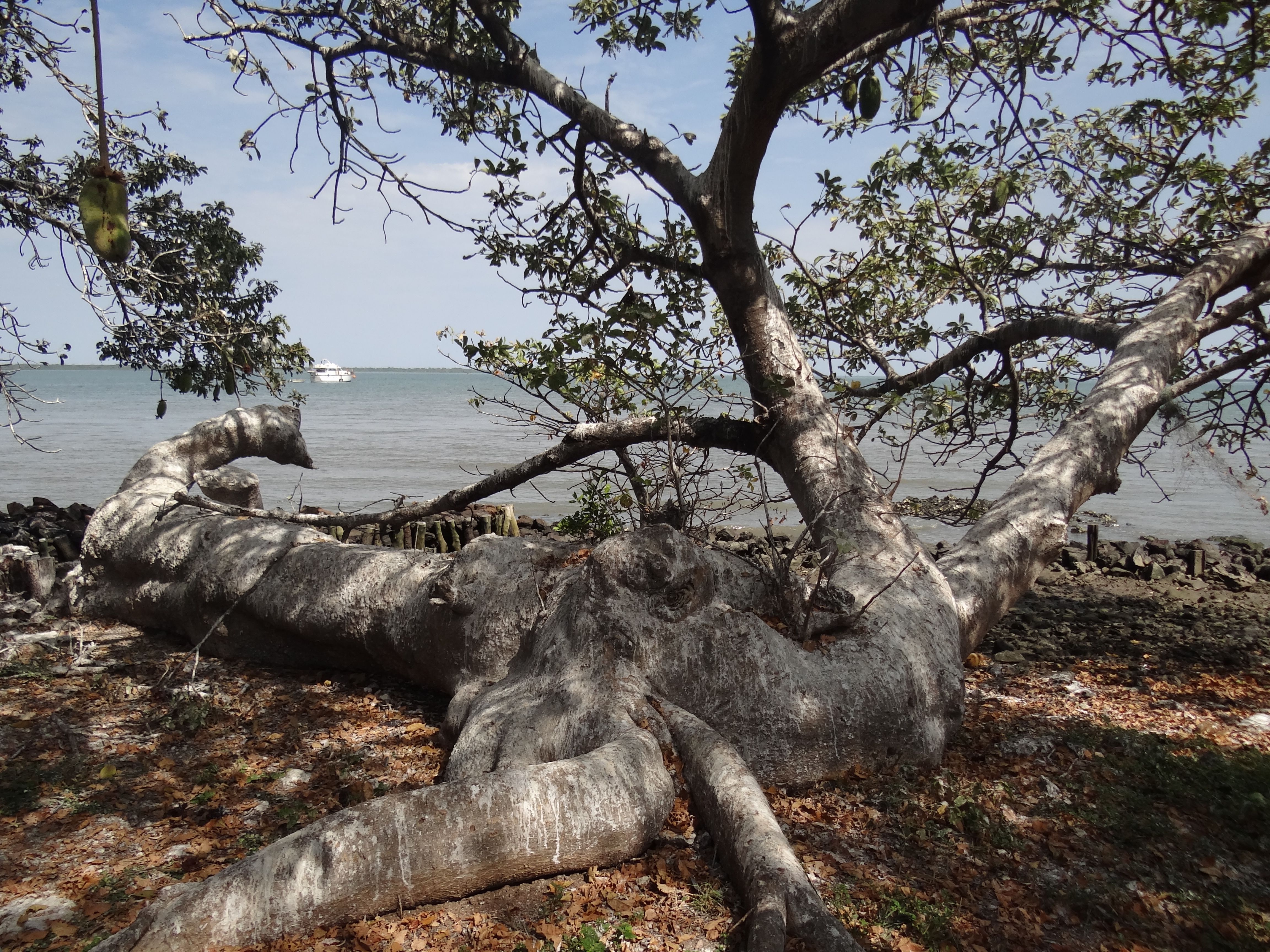Bezoek gebracht aan Roots - Foto 2
