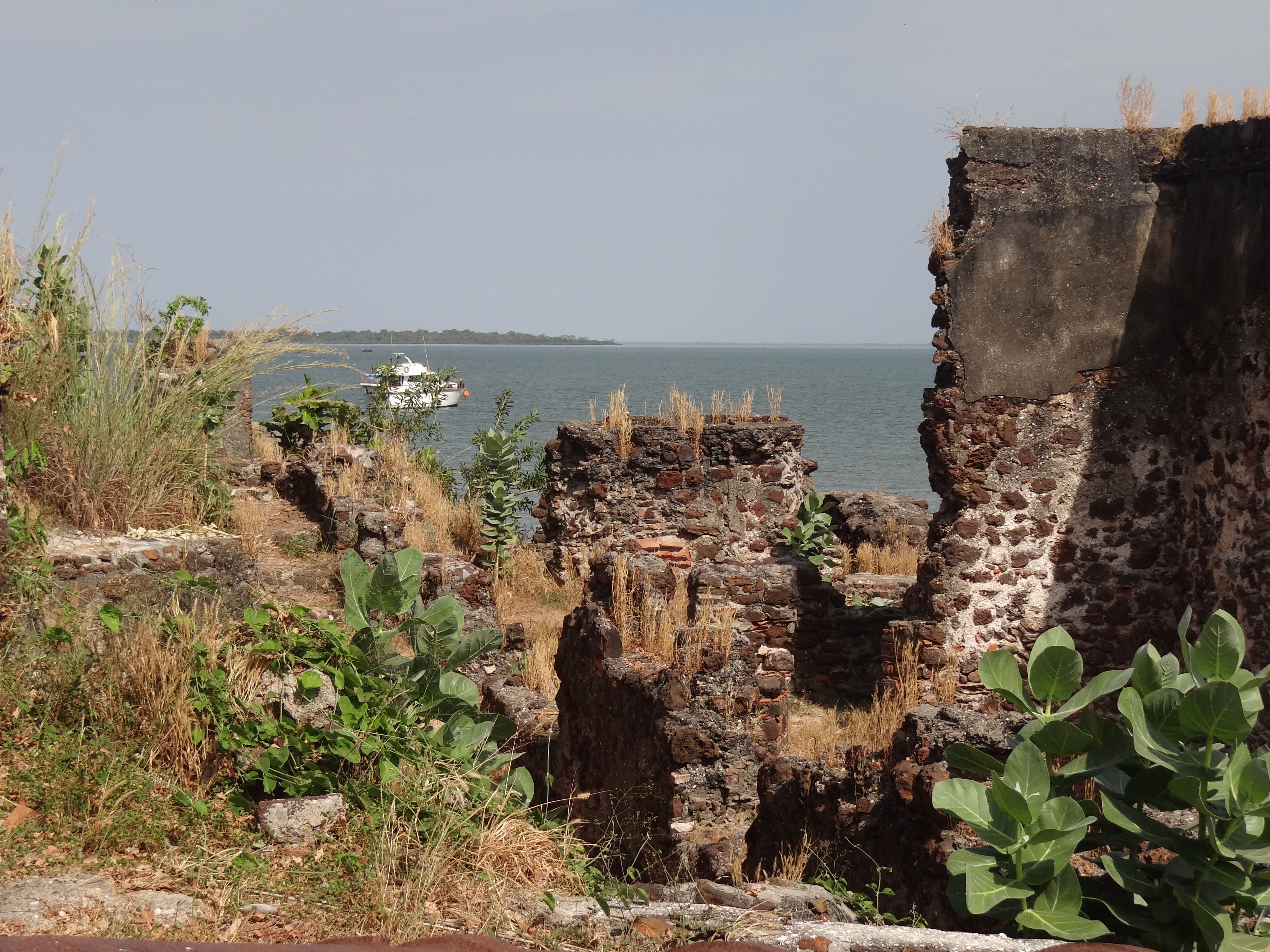 Bezoek gebracht aan Roots - Foto 3