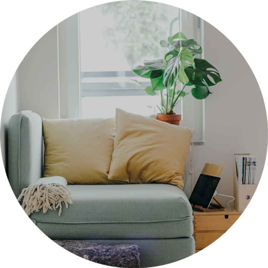 Bright living room with a sofa and indoor plant