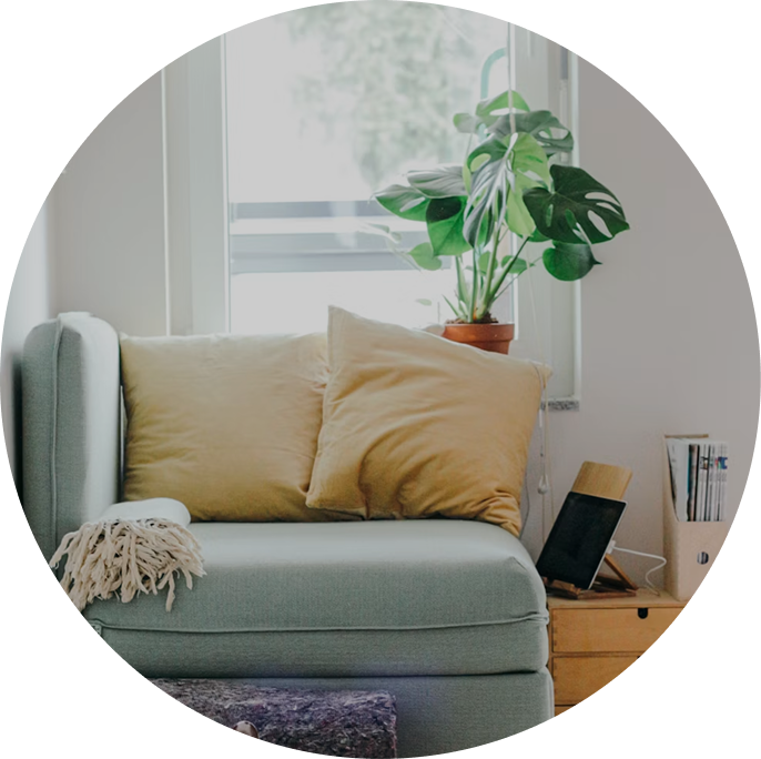 Bright living room with a sofa and indoor plant