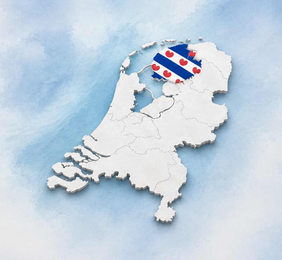 IT-Dienstverlening Friesland