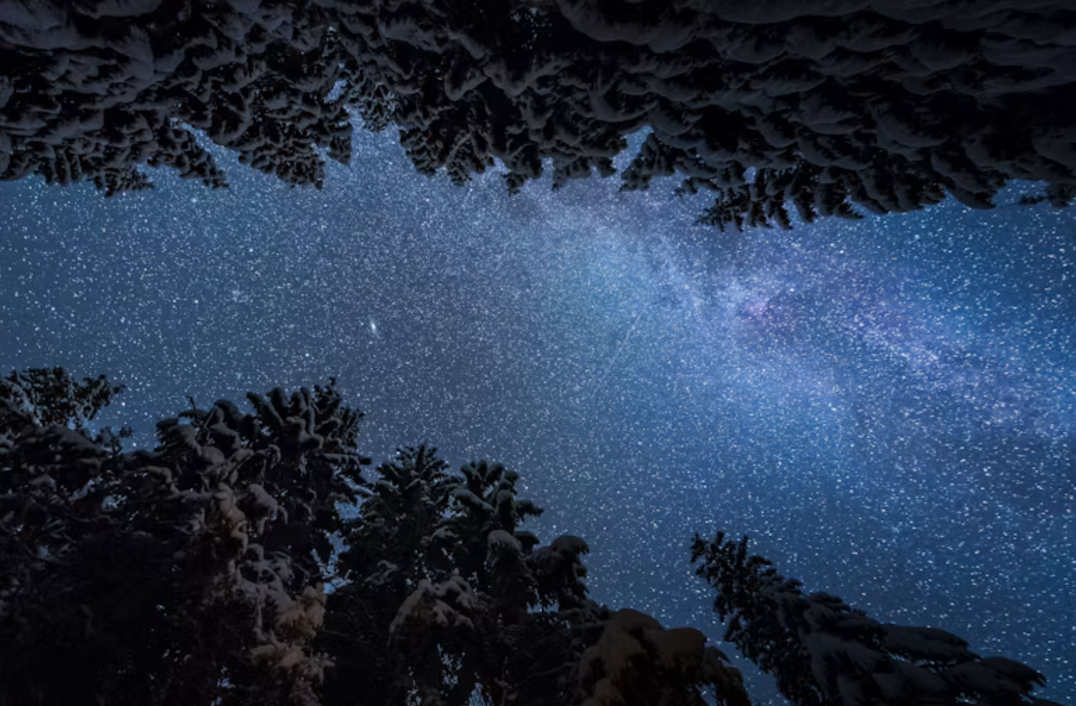 Starry night sky