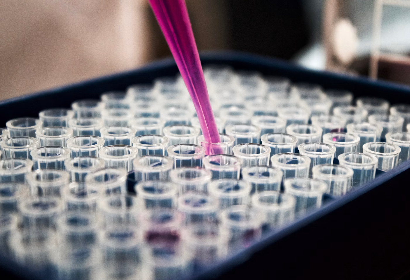 Photo of research with test tubes