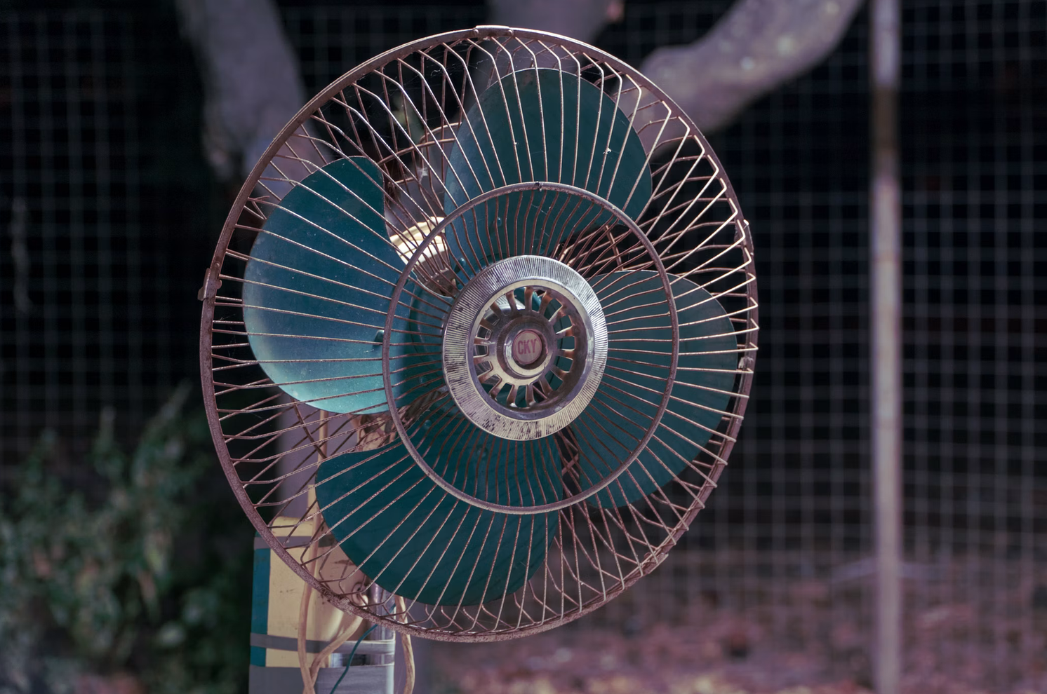 Picture of a fan