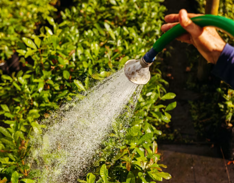 A hosepipe