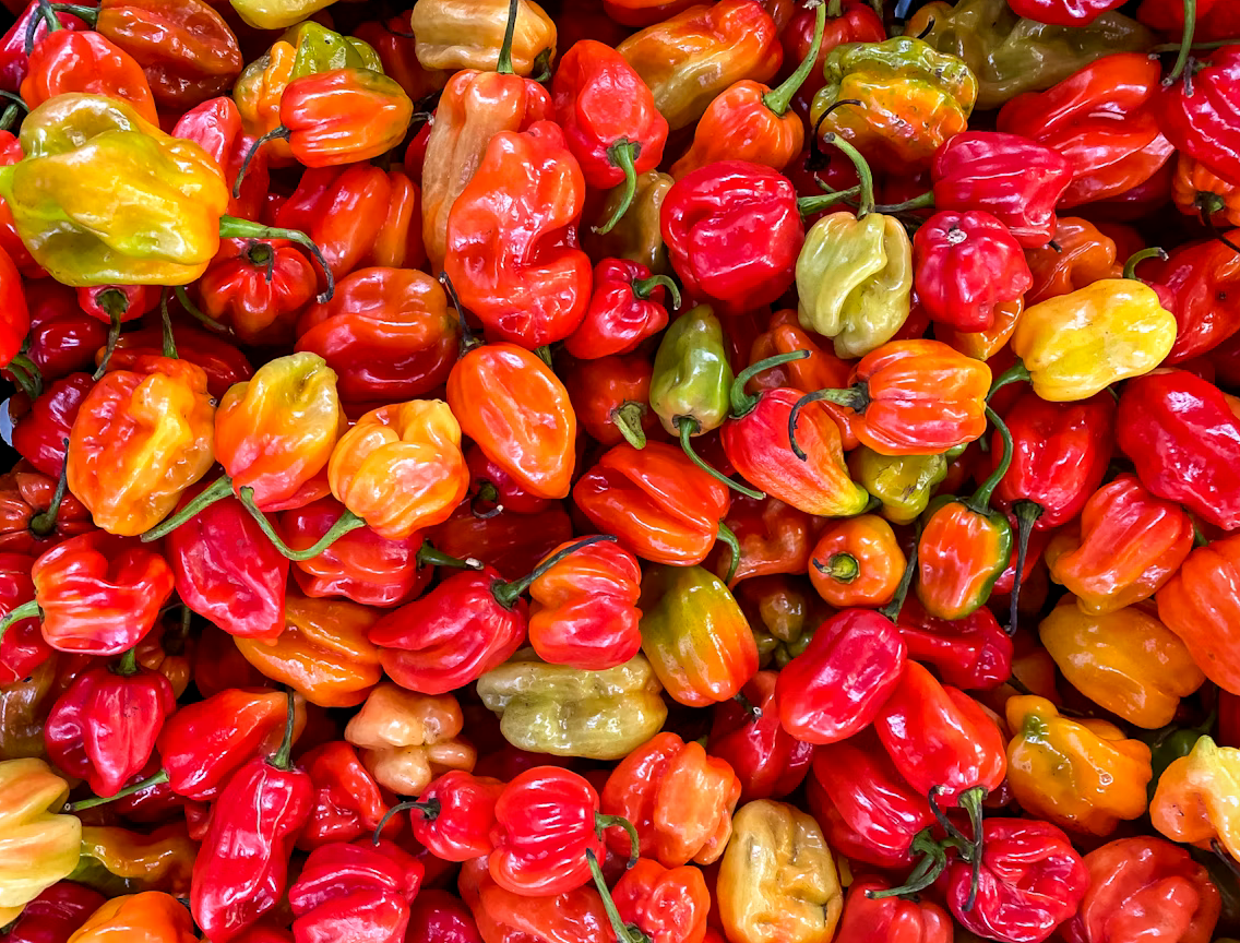 A selection of peppers