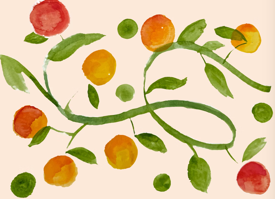 Drawing of fruit