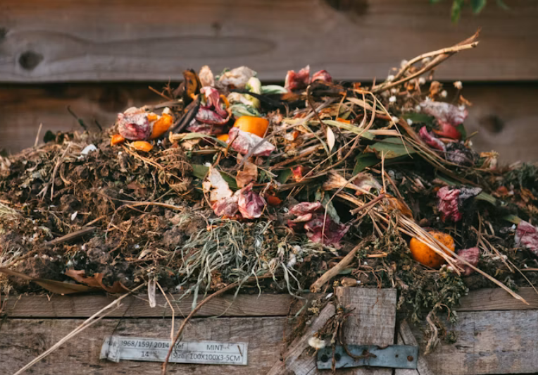 Image of a compost heap