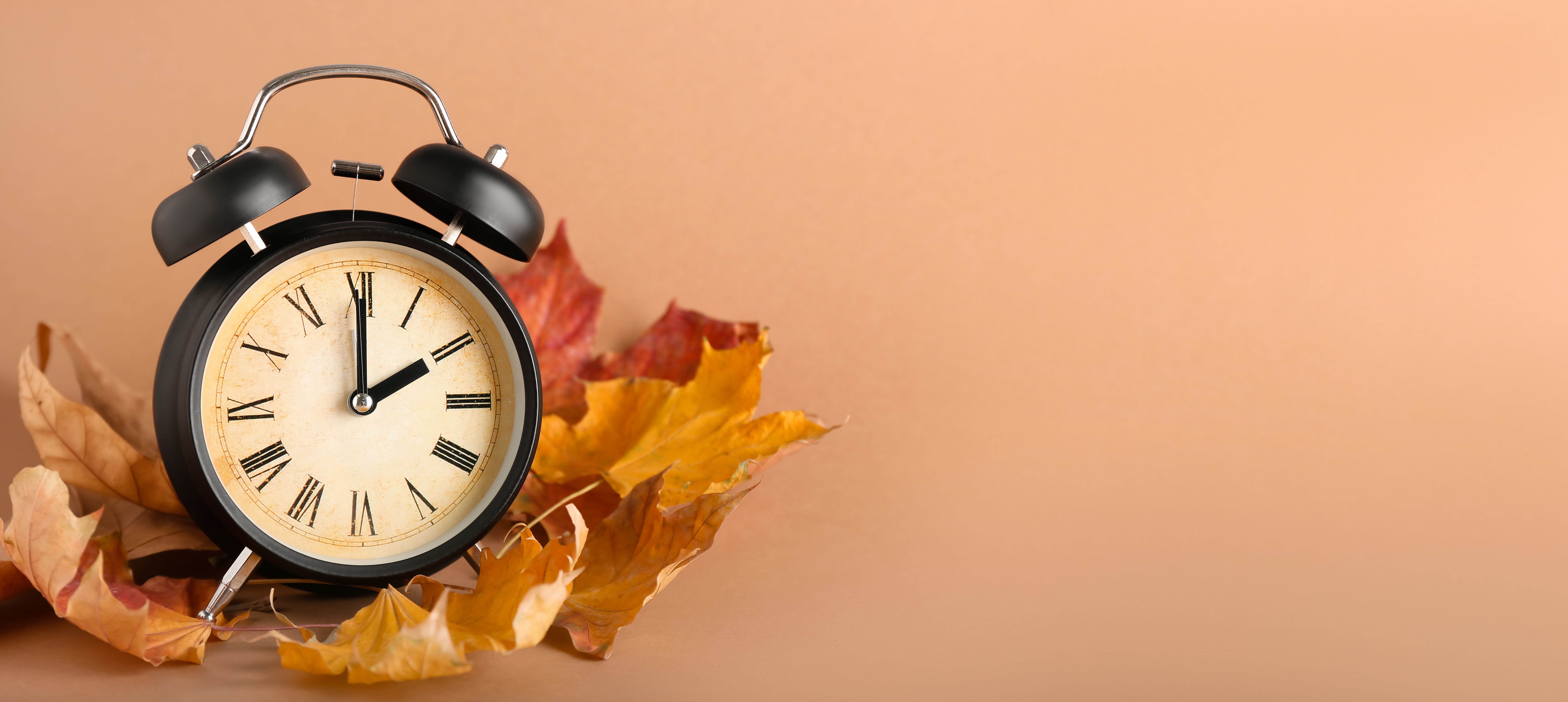 Alarm clock surrounded by autumn leaves