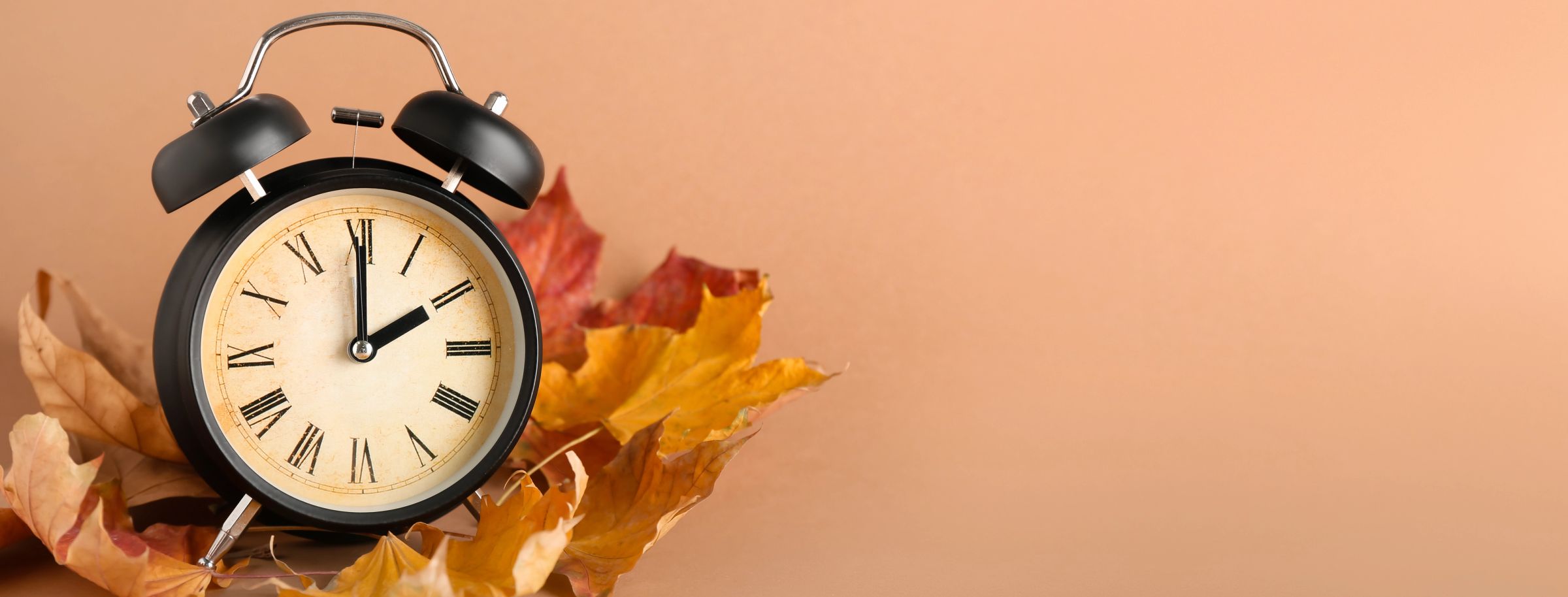Alarm clock surrounded by autumn leaves