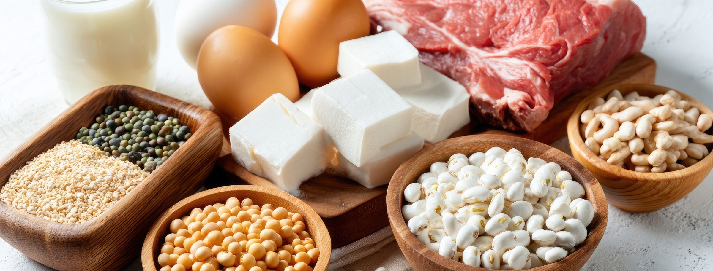 High protein foods including milk, eggs, tofu, meat, lentils, beans and grains