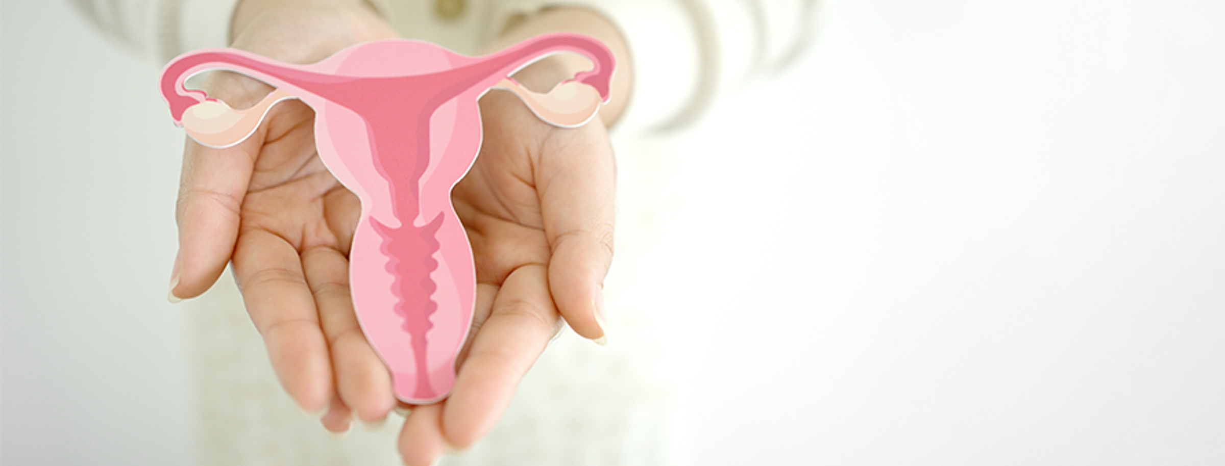 Doctor holding a paper cut-out of the female reproductive system