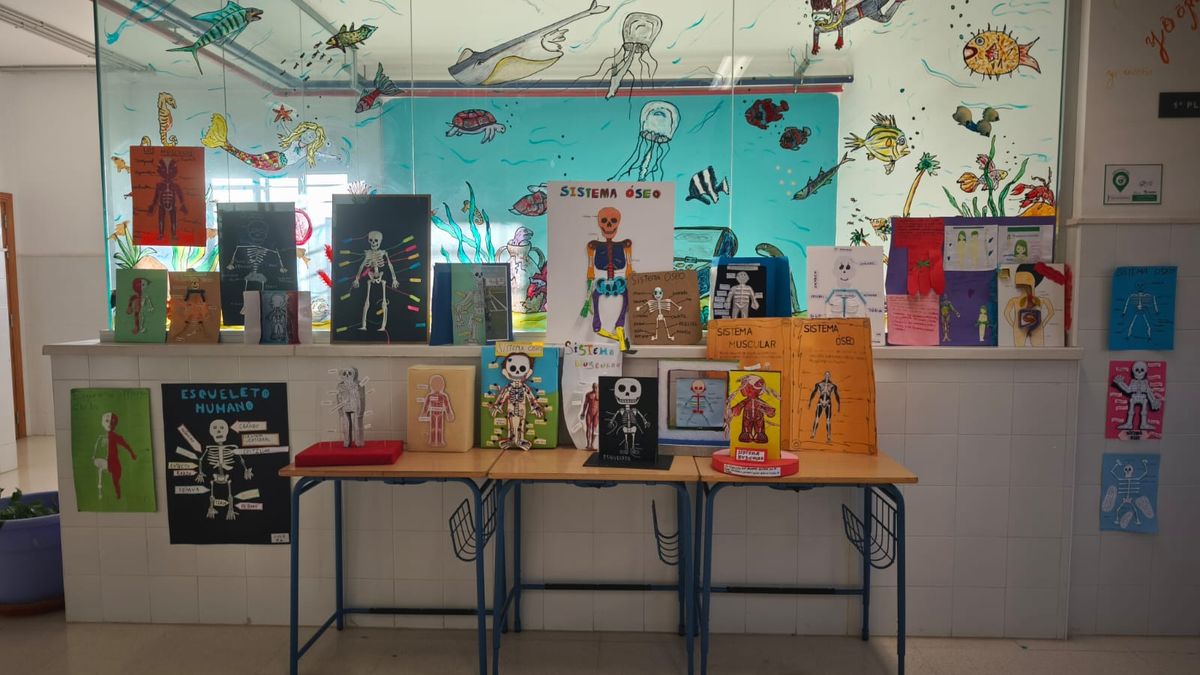 Trabajos de Science de 3º de Primaria