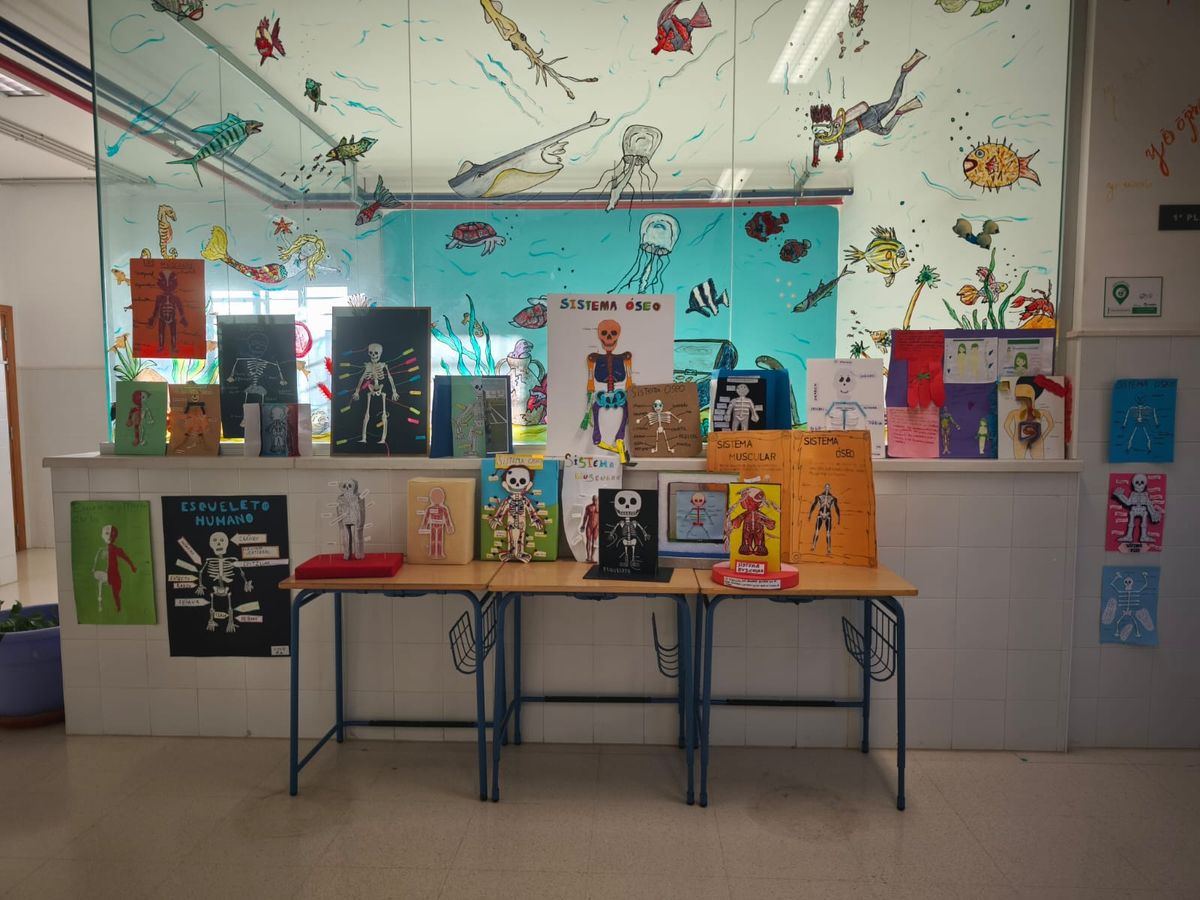 Trabajos de Science de 3º de Primaria