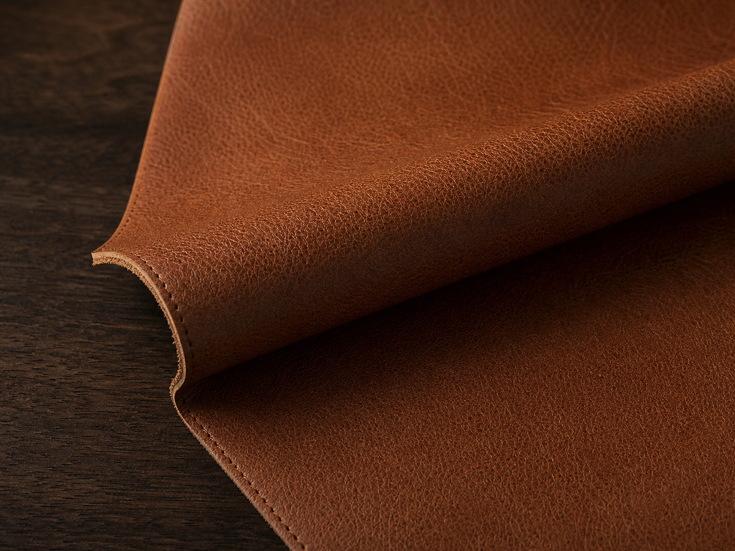 Top-grain leather surface detail
