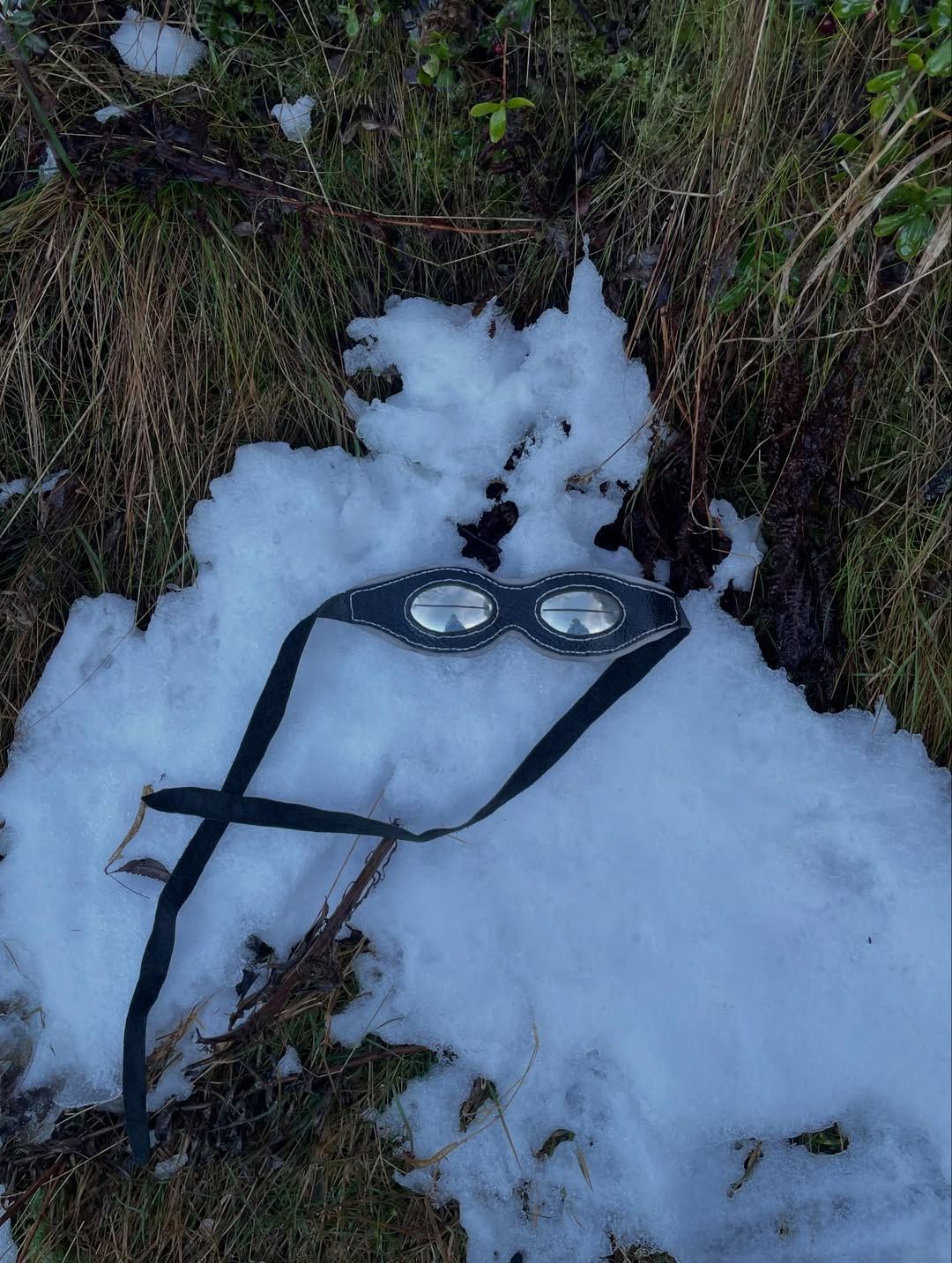 Silver snow goggles resting on melting snow among grass and berries