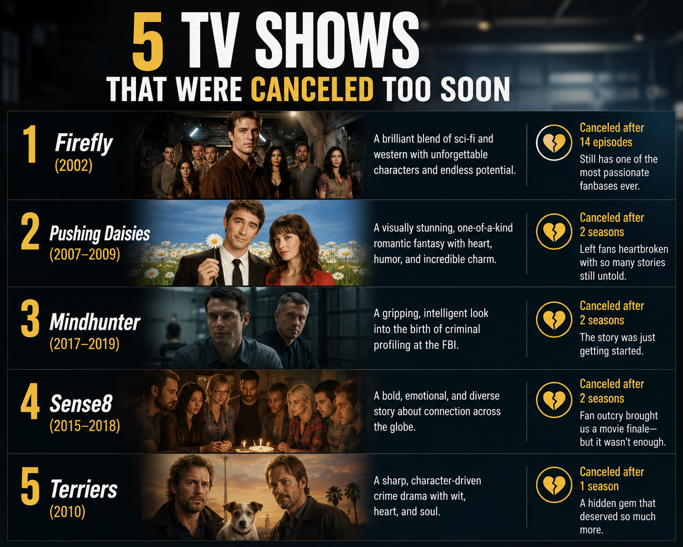 5 TV Shows That Were Canceled Too Soon