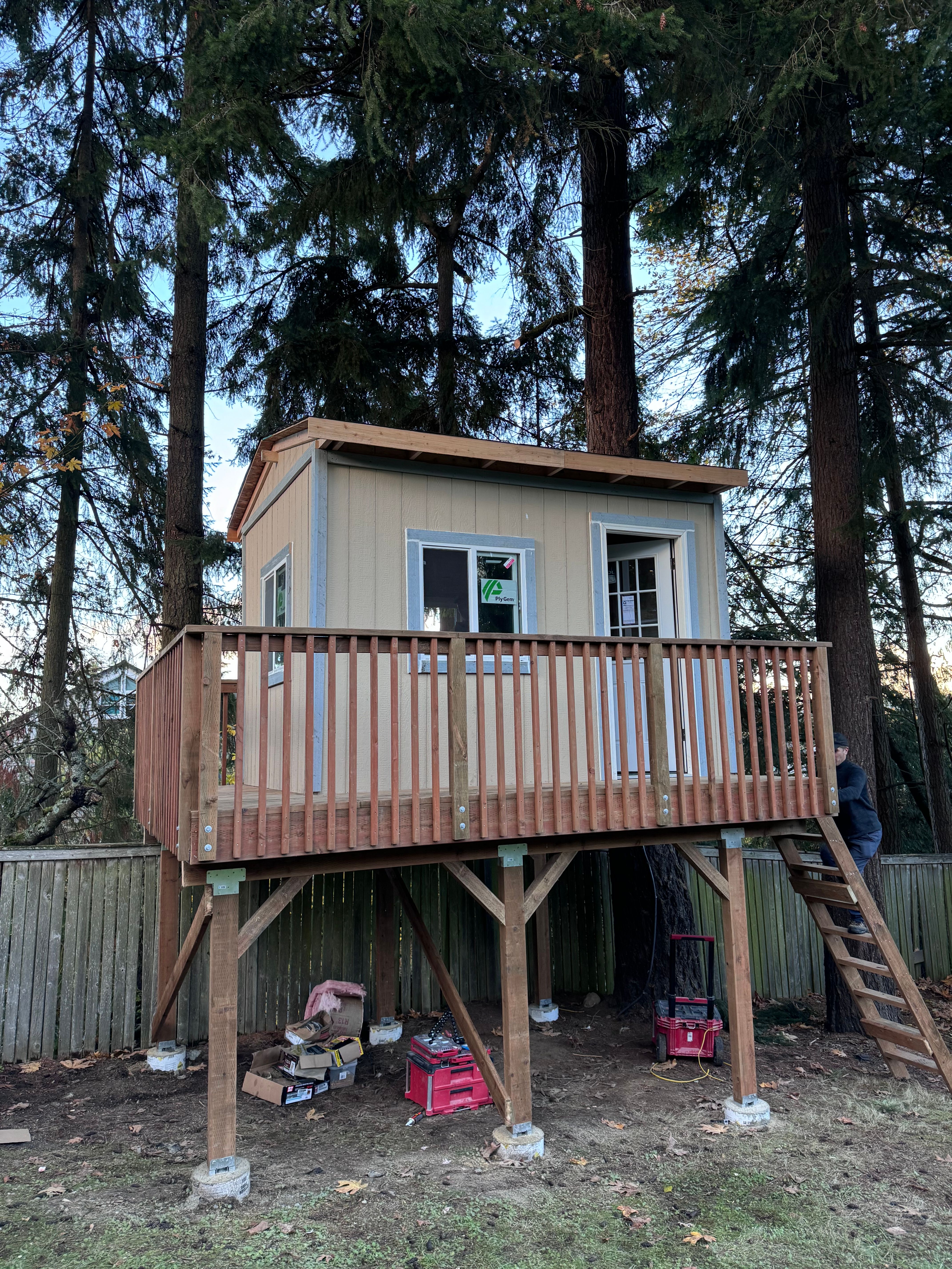 Tree house
