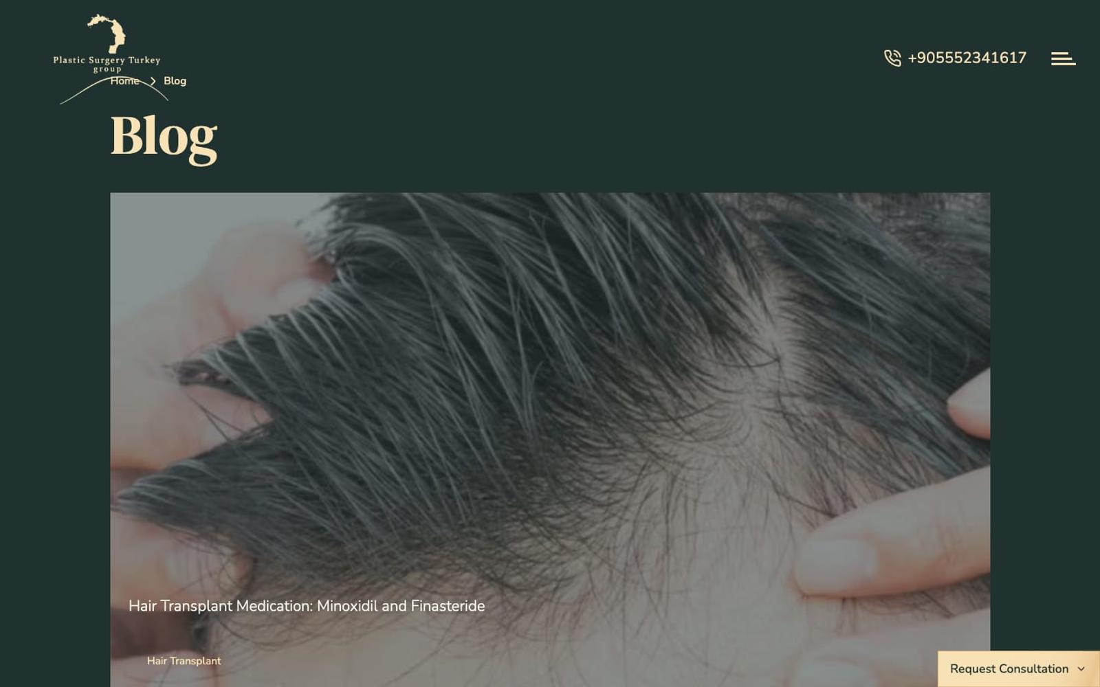 Plastic Surgery Turkey Group blog, desktop view