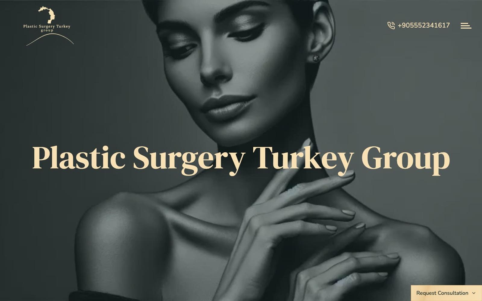 Plastic Surgery Turkey Group home page, desktop view