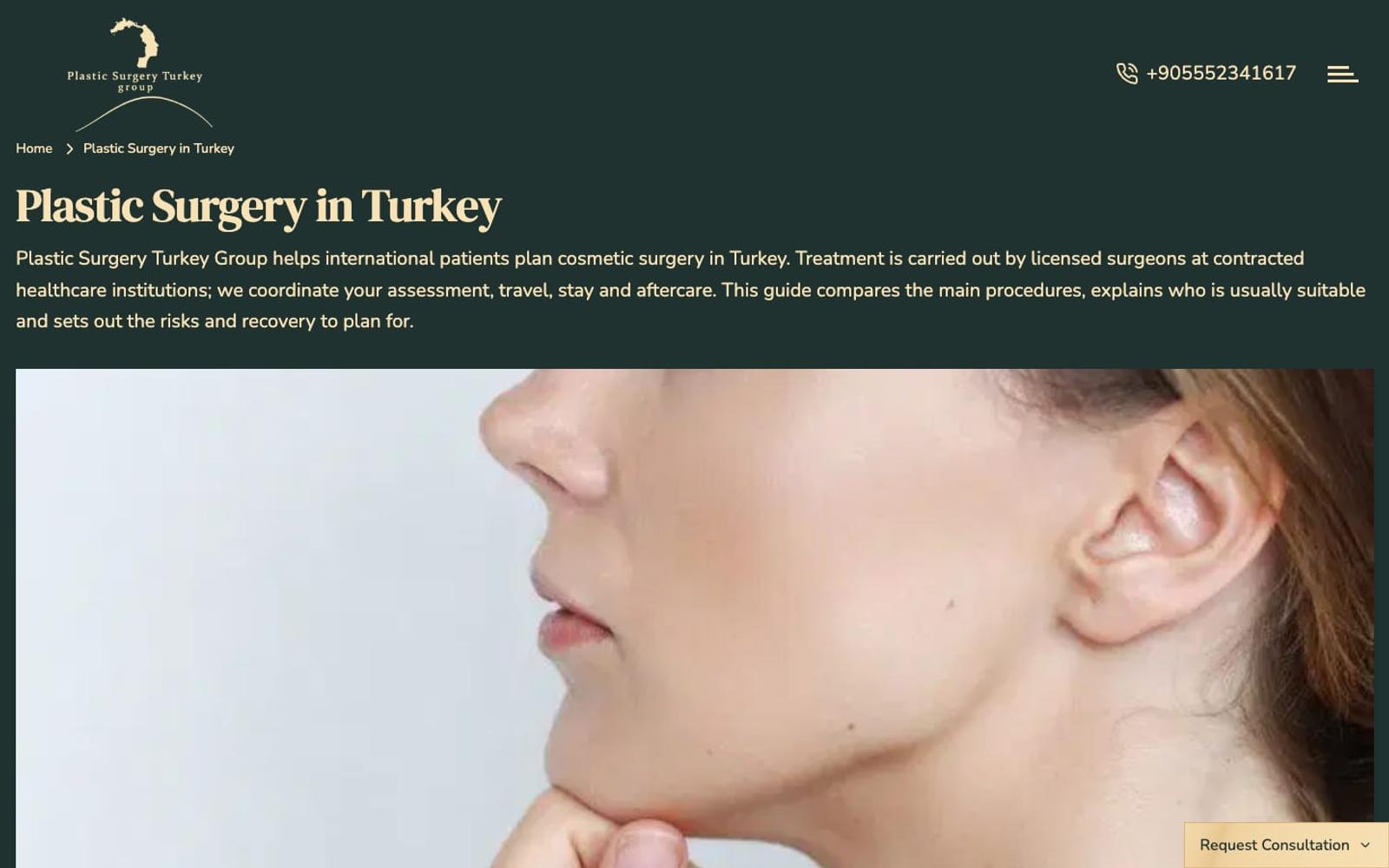Plastic Surgery Turkey Group plastic surgery service page, desktop view
