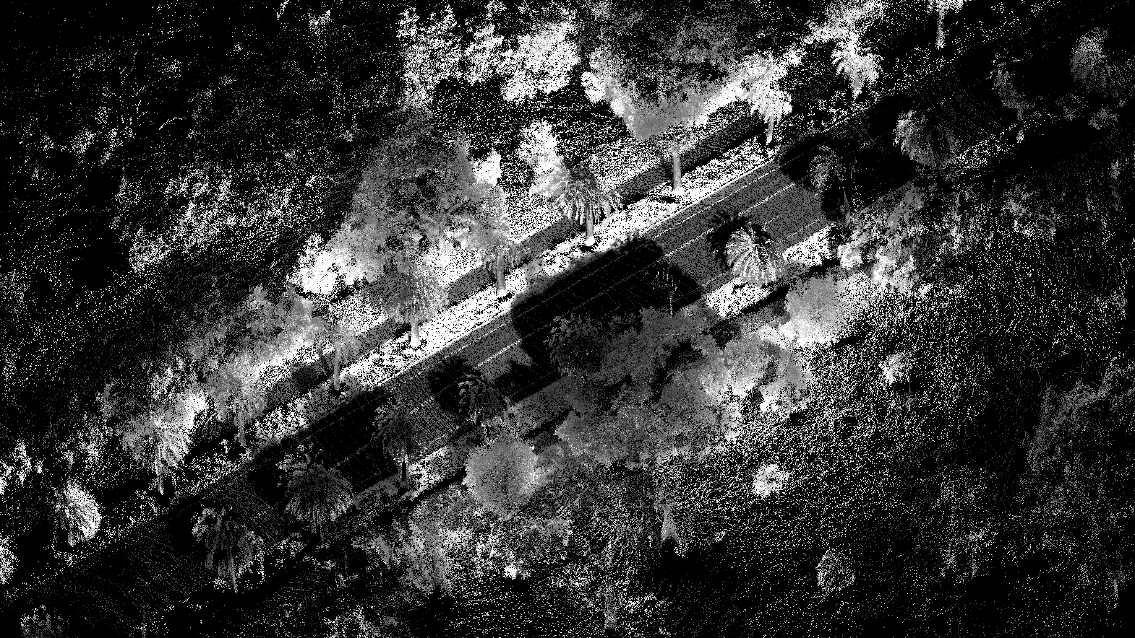 OS2 Palm Drive topview monochrome
