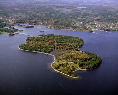 The Big Treasure (and Awful Curse) of the Oak Island Mystery