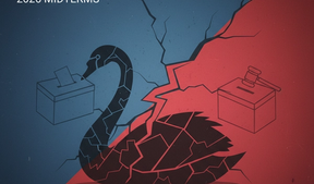 Political Violence Fears: Black Swan Events Ahead of 2026 Midterms