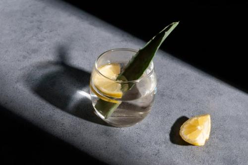 Agave + Sotol