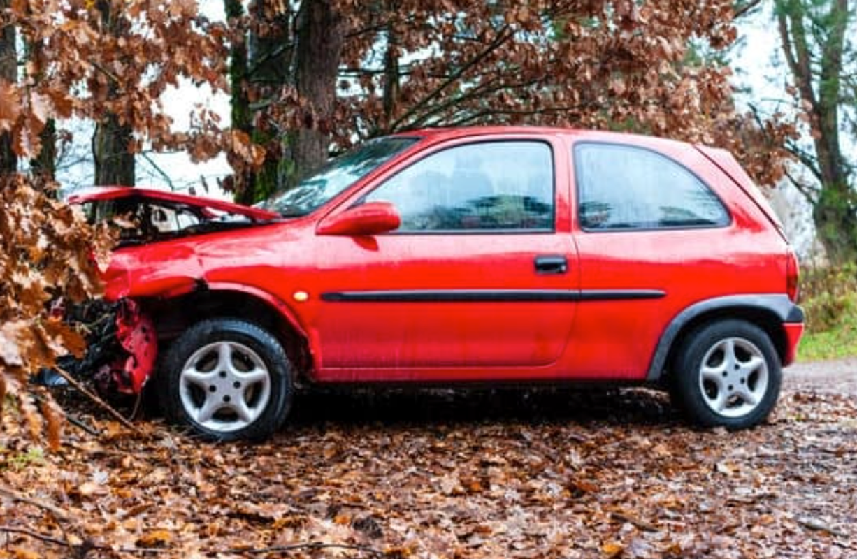 Momentum grows for Graduated Driving Licences