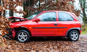 Momentum grows for Graduated Driving Licences