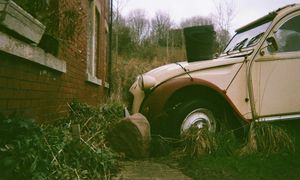 Britain loves a Banger says RAC