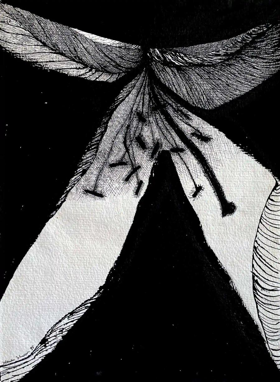 White and Black Flower