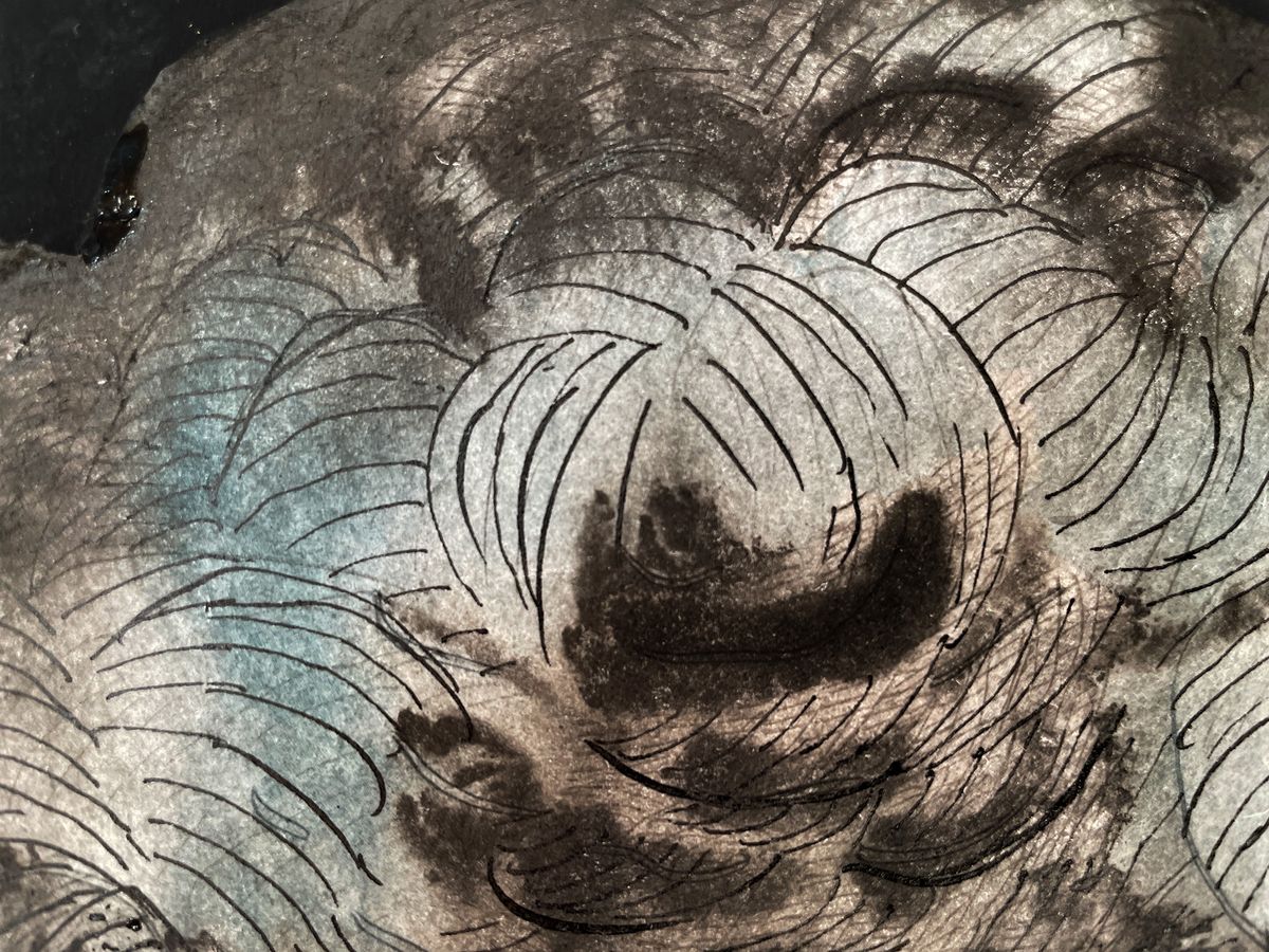 Sky Zone with Blue Clouds — detail 3