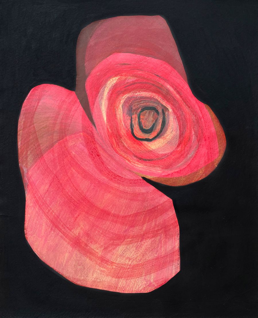 Rose in Black Background