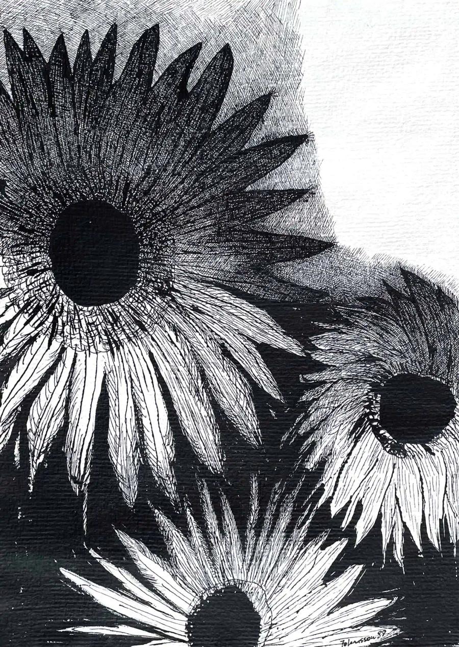 Flower Drawing - Black Eye