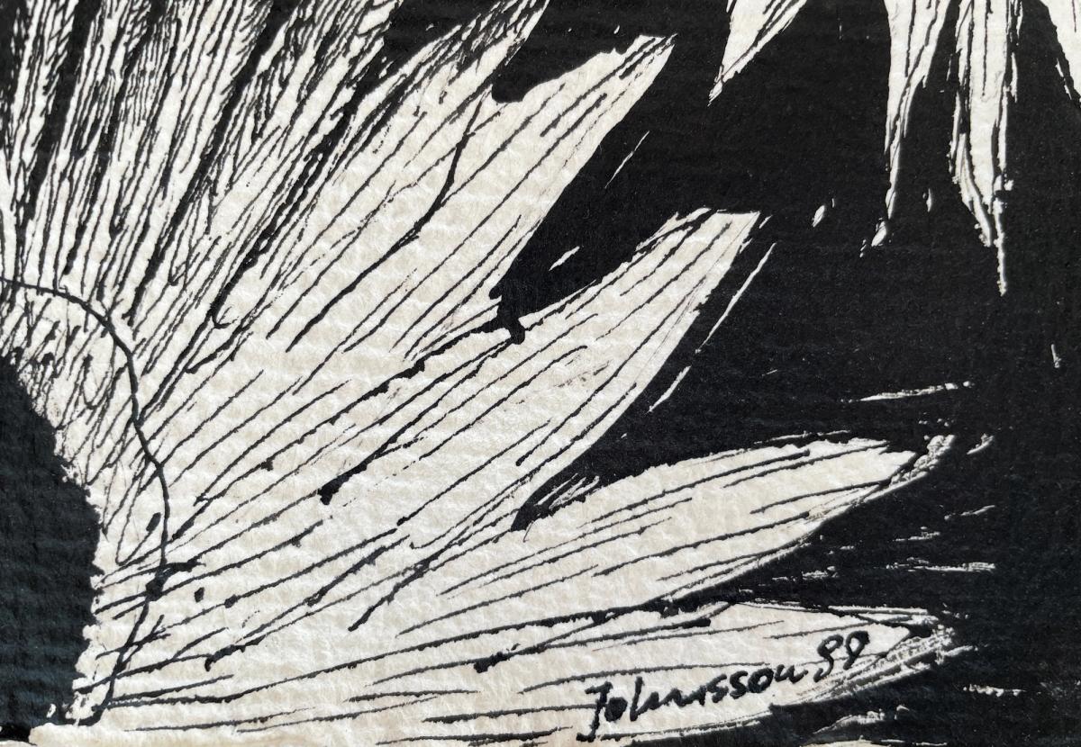 Flower Drawing - Black Eye — detail 3