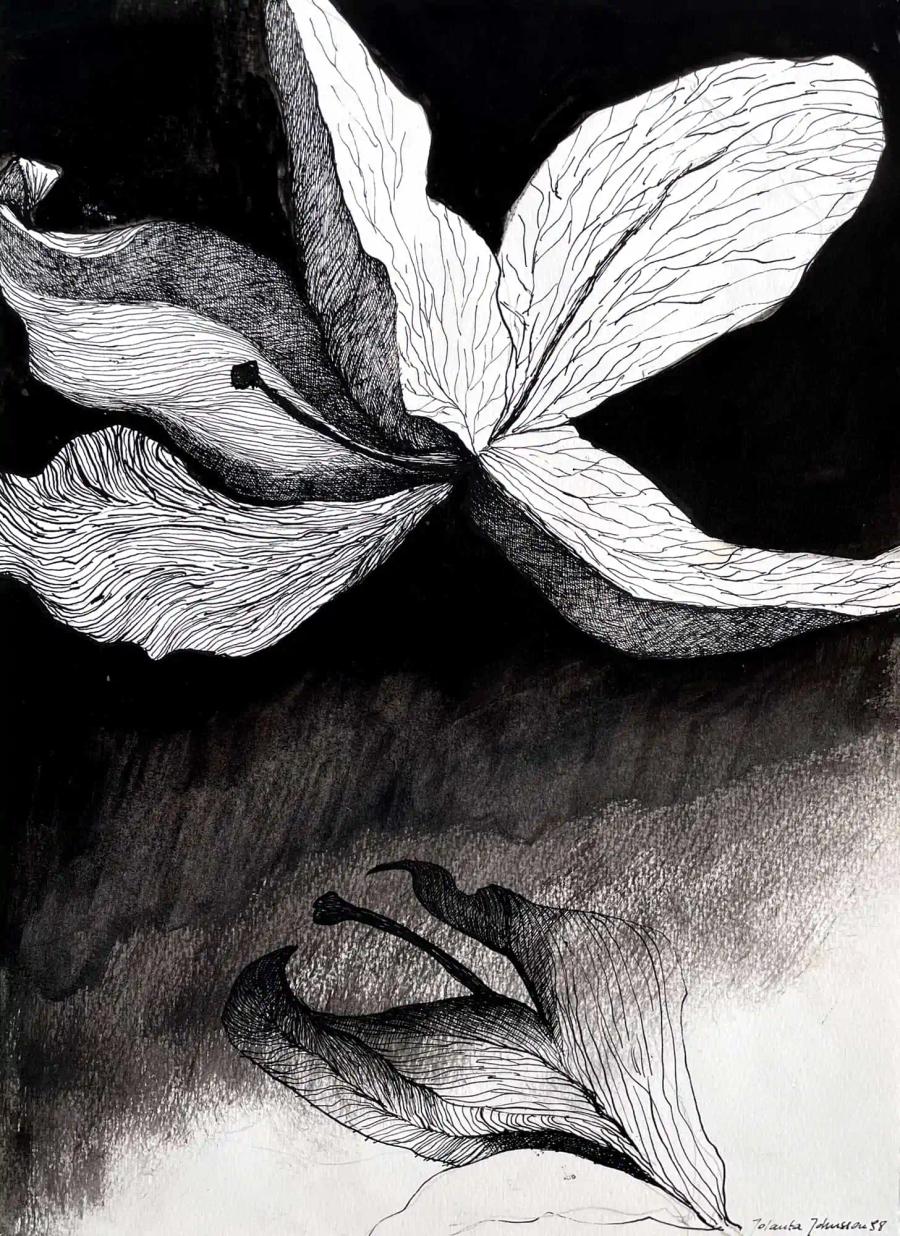 Blooming Flower Drawing